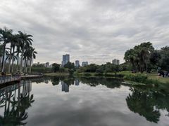 -四海公园(南山区)