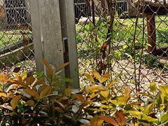 -合肥野生动物园