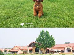 -意大利农场度假村