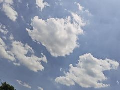 -洛阳市隋唐城遗址植物园