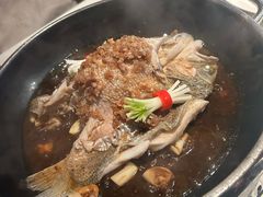 -芙蓉堂(武汉天地店)