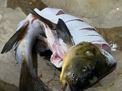 -姚记抚仙湖石锅鱼庄