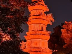 -合江楼