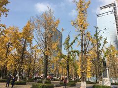 -百林公园-两江幸福广场
