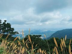 -梧桐山风景名胜区