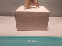-大连博物馆