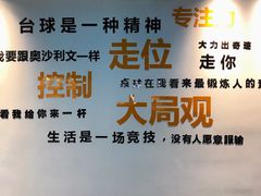 -HM8台球俱乐部
