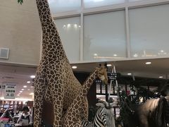-阪急百货店(梅田总店)