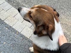 -西南交通大学(九里校区)