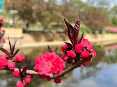 -元大都城垣遗址公园