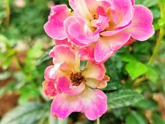 -人民公园(罗湖区)