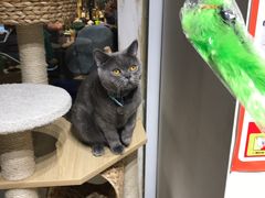 -小时光咖啡馆(开森度假森林店)