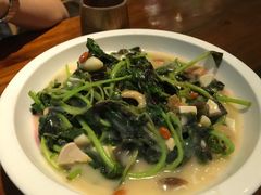 上汤苋菜-春暖花开(西溪店)