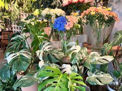 -自由生长植物工作室(深港花卉中心店)