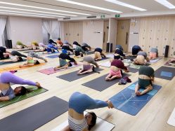 -酉嘉瑜伽YO+YOGA