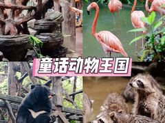 -长鹿旅游休博园