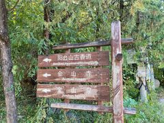 -阳台山自然风景区
