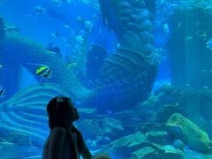 -波塞冬旅游度假区