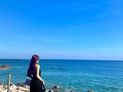 -广东惠东海龟国家级自然保护区