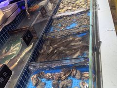 -加餐海鲜自助餐厅(福清万达店)