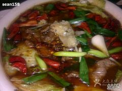 -成都美食巫山烤鱼(三里河路店)
