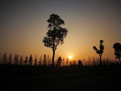 -明珠湖天鹅苑·农家菜馆