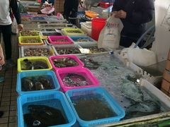 -大湾区中央湿地公园-十九涌