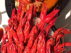 -红盔甲·小龙虾(天钥桥店)