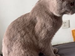 -沐沐家宠物(成寿寺店)