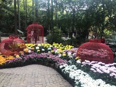 -汇龙潭