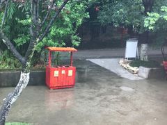 电瓶车终点-成都大熊猫繁育研究基地