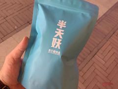-半天妖烤鱼(海那城店)