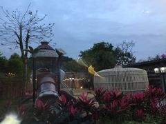 -花溪雨·森林餐厅(石基店)