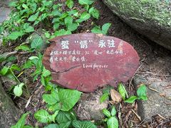 -三亚蜈支洲岛旅游区