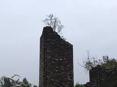 -广富林郊野公园