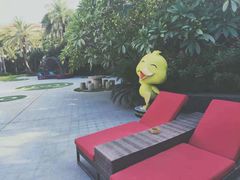 -厦门日月谷温泉渡假村