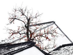 -北寺塔
