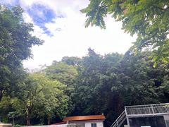 -炮台山公园