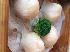 假日虾饺皇-粤财皇冠假日酒店·彩华轩中餐厅