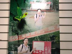 -金陵图书馆