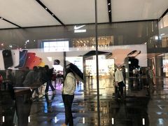 -Apple零售店(成都太古里店)