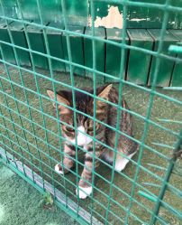 -萌宠亲子动物乐园(槐房万达店)