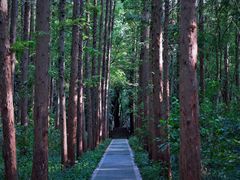 -同里国家湿地公园