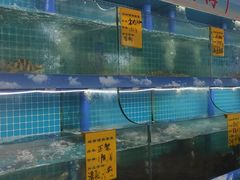 水产区-坛南湾阿强农家乐.海鲜大排档老字号(福州地标美食店)