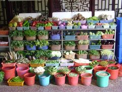 -白家寨子·山野白族菜(古城总店)