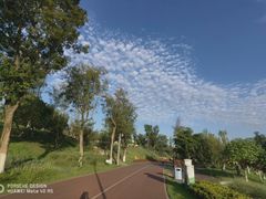 -桂溪生态公园