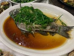 清蒸白鲫鱼-广宁炭炉鸡煲·富临门饭店