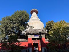 -妙应寺白塔