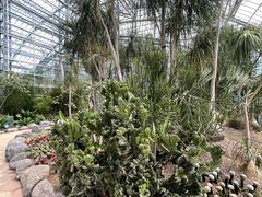 -南山植物园