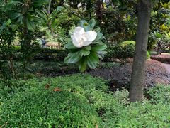 -上海虹桥迎宾馆